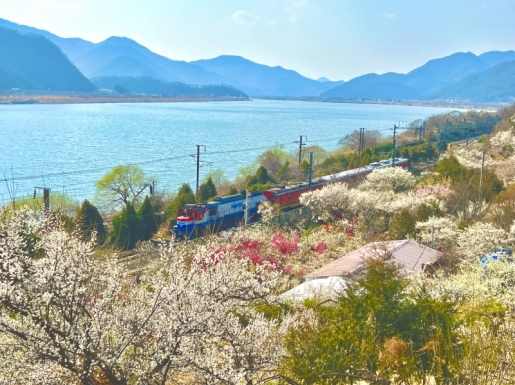 ���� ����3