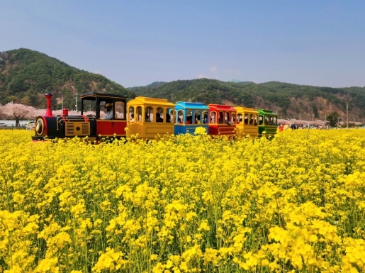 ���� ����2