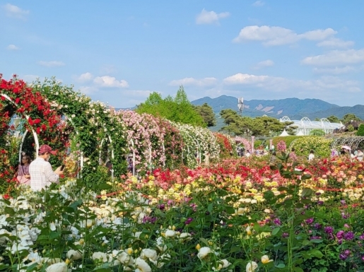 ���� ����2