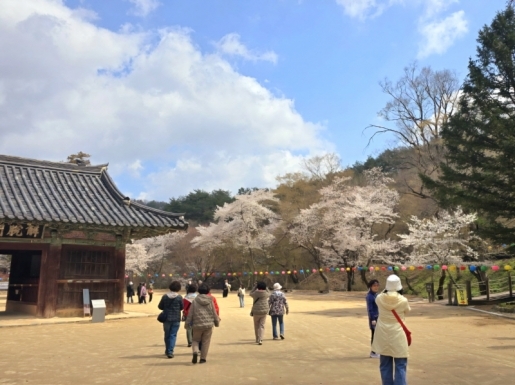 ���� ����2