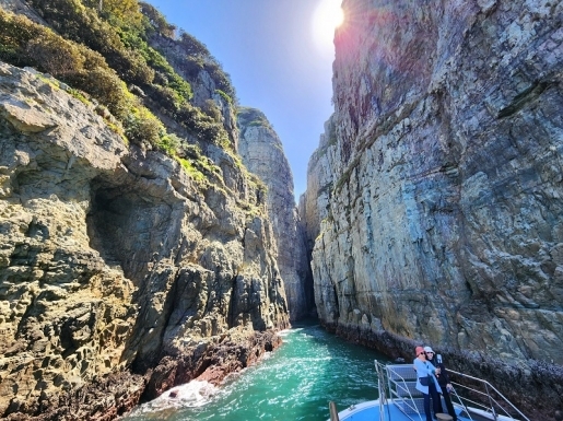 ���� ����4