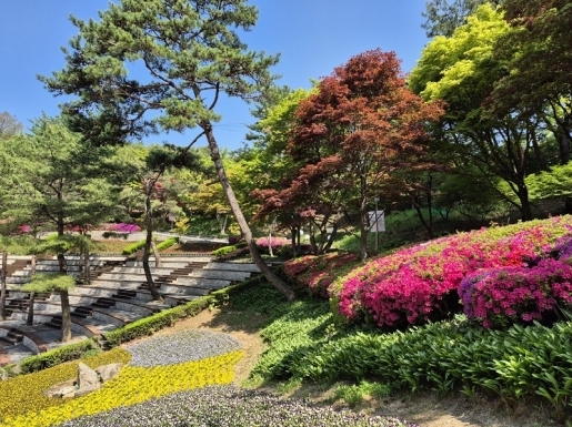 ���� ����4