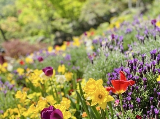 ���� ����1