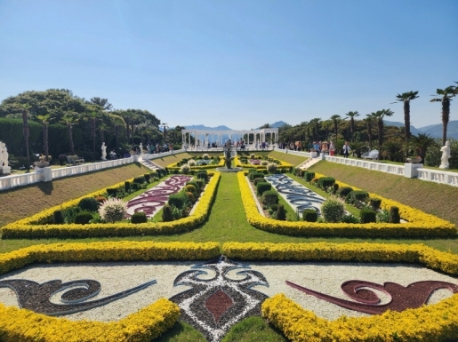 ���� ����6