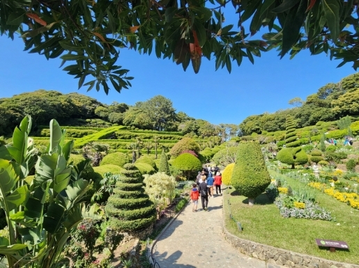 ���� ����4