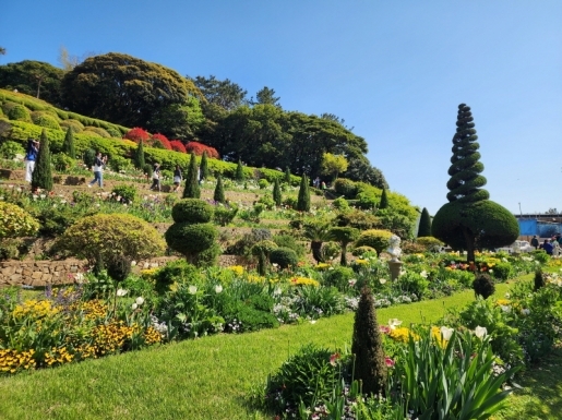 ���� ����3