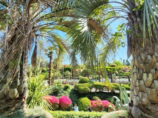 ���� ����5