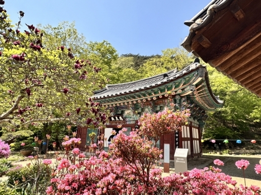 ���� ����2