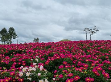 ���� ����3