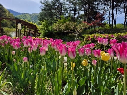 ���� ����3