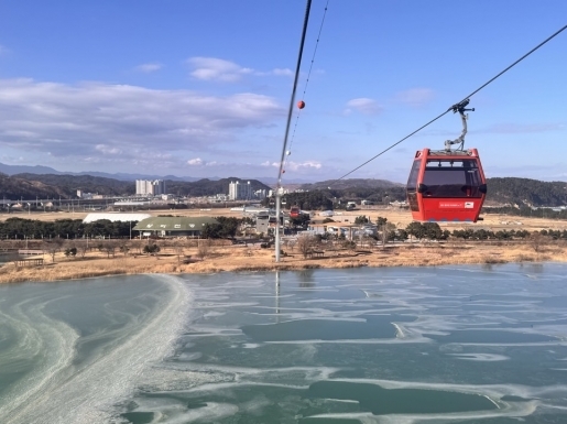 ���� ����6