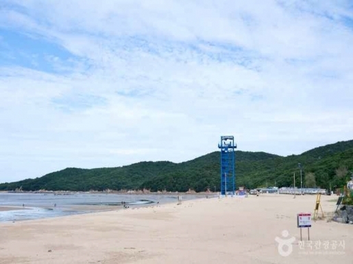 ���� ����6