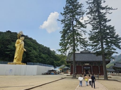 ���� ����5