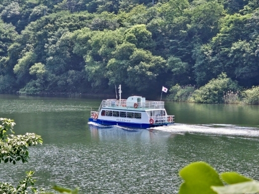 ���� ����3