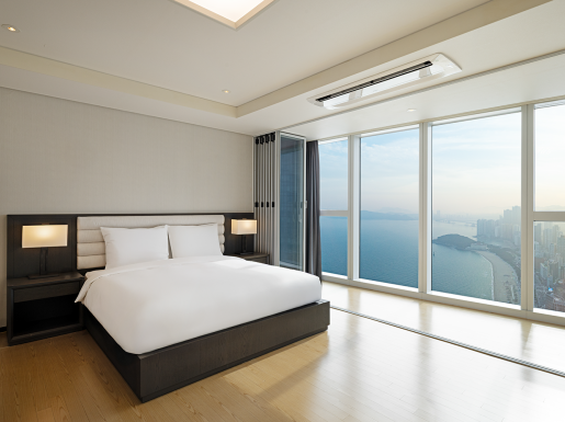 ���� ����3