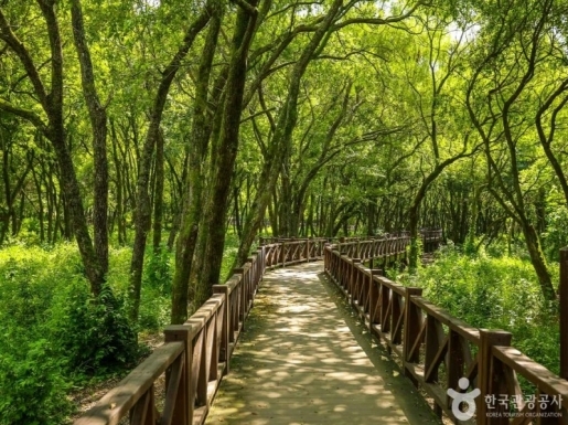 ���� ����2