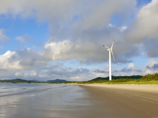 ���� ����4