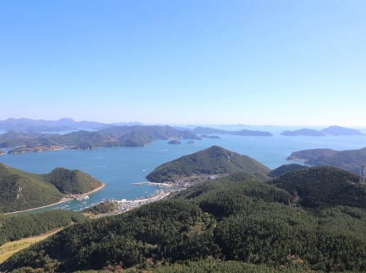 ���� ����7