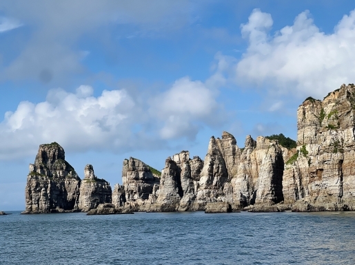 ���� ����6