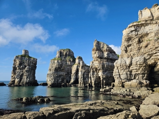 ���� ����4