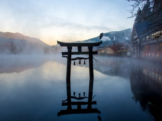 ���� ����3