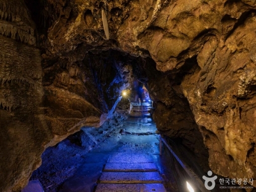 ���� ����4