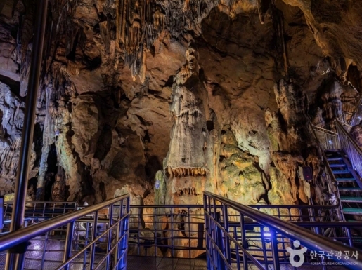 ���� ����5