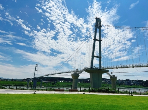 ���� ����6