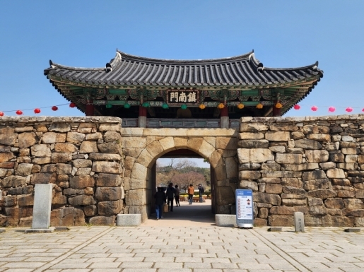 ���� ����5