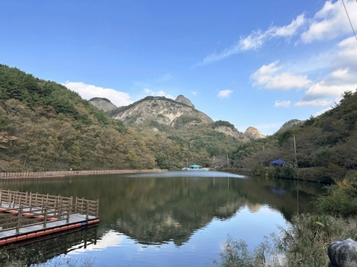 ���� ����1