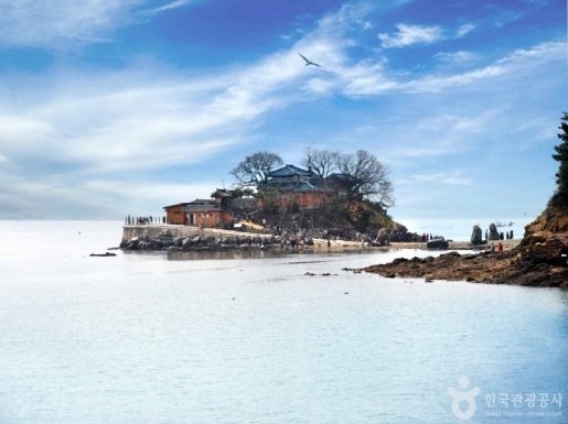 ���� ����3