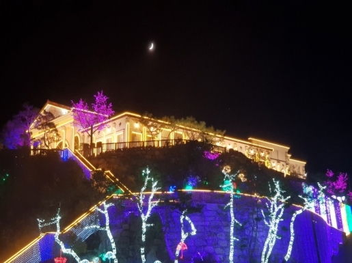 ���� ����7