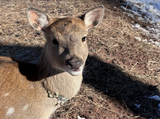 ���� ����7