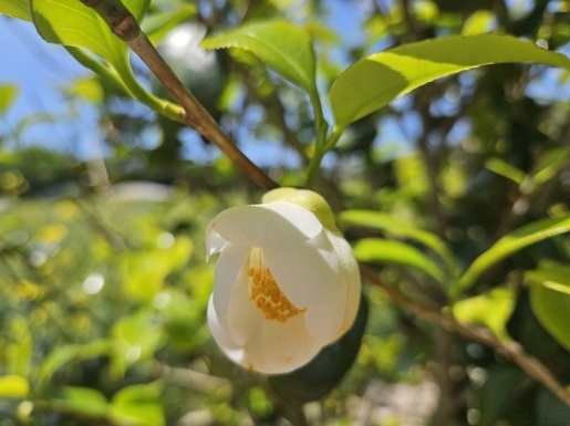 ���� ����5