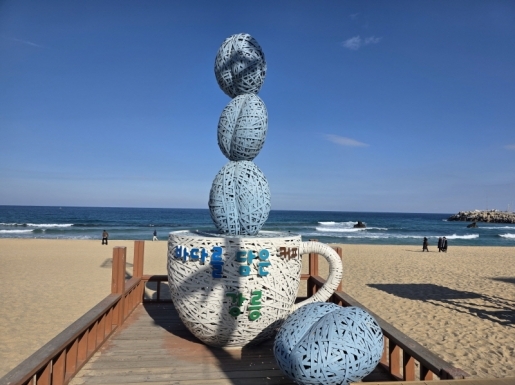 ���� ����7