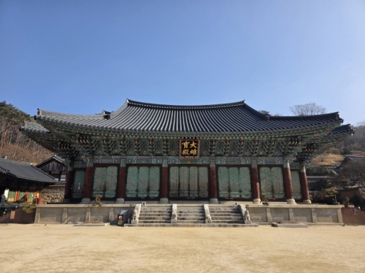 ���� ����7