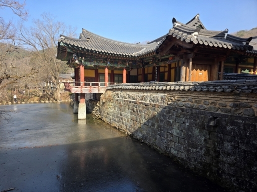 ���� ����5