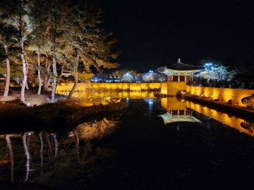 ���� ����3