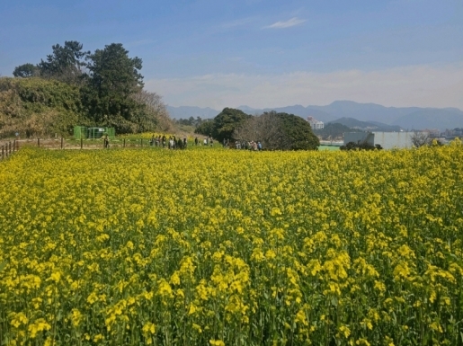 ���� ����1