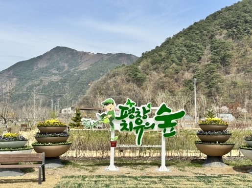 ���� ����3